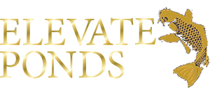 footer-logo