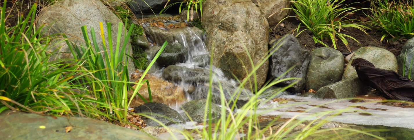 pond maintenance Leeds, pond restoration Leeds, pond renovation Leeds, pond design Leeds, pond building Leeds and pond construction Leeds